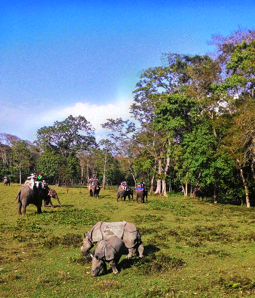 .Chitwan Nation Park by Thai Nepal Travels and Tours