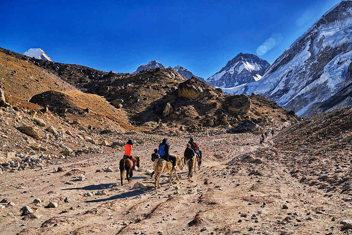 The trekkers ride the houses to Everest Base Camp by Thai Nepal Travels and Tours