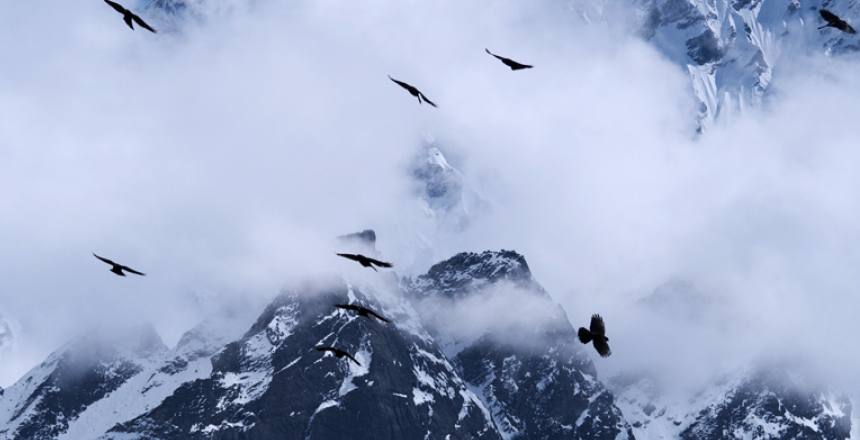 Langtang Valley Trek