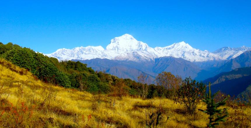 Poon Hill Sunrise Trek